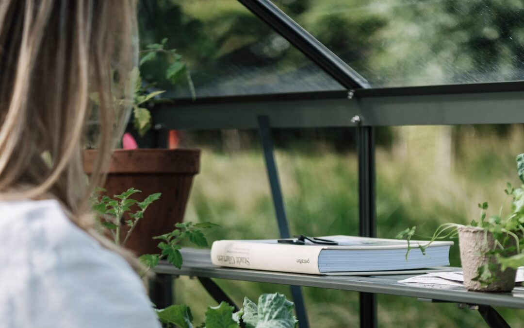 Vegetable garden essentials