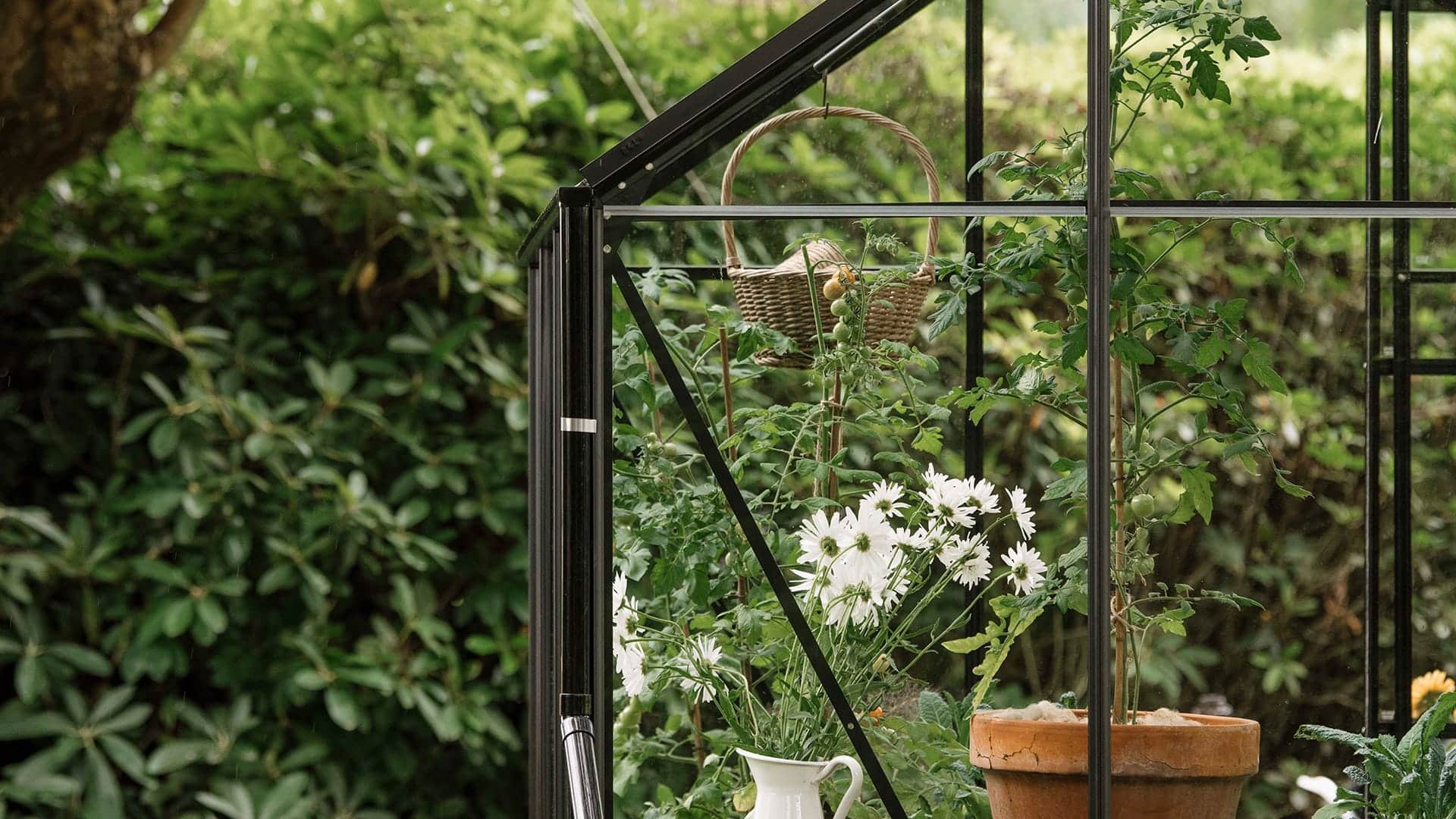 Conseils pour débuter en serre