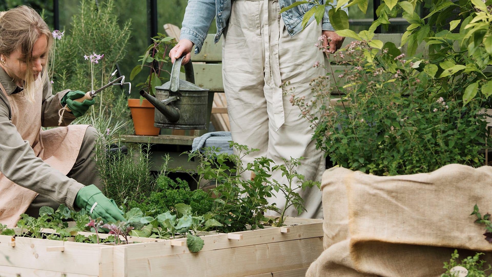 How to start a vegetable gardenzo start je een moestijn