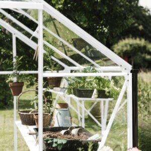 Kweekschap set voor Kate III wit