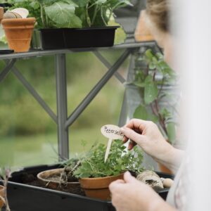 Kit d'étagères de culture pour Mary III vert-gris