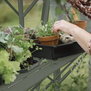 Kweektafel set voor Mary II groengrijs