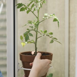 Set pothouders wit 4 stuks