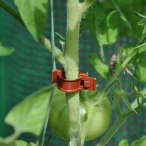 Tomatenclips - set 20