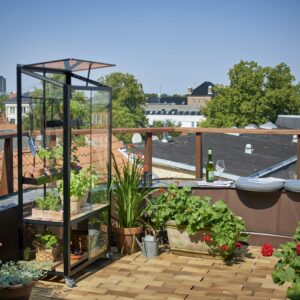 Kweekkast City Garden zwart 4 mm veiligheidsglas